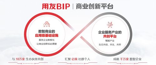 用友BIP助力企業(yè)實現(xiàn)精準稅務，構建高效合規(guī)的稅務管理體系